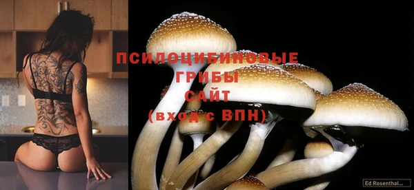 а пвп мука Беломорск