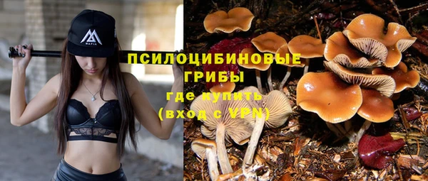 стафф Белоозёрский